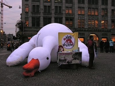 img_476026fb731e4.JPG