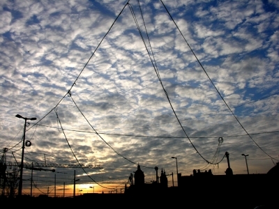 img_496f8ef0736fc.JPG