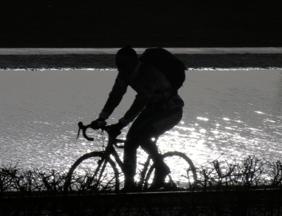 img_49bc2c5919c0c.JPG