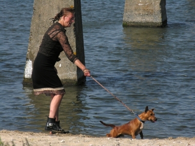 img_4a43d8d76c0ba.JPG